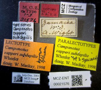 Media type: image;   Entomology 21576 Aspect: labels
